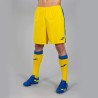 Pantaloncini Shorts TOKIO II colore giallo-royal
